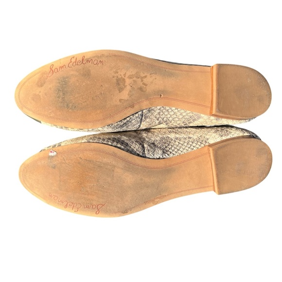 Women’s cream color, alligator low heel silver toe shoes by Sam Edelman 10 - Picture 5 of 6